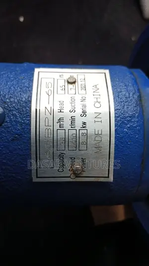 Heavy Duty Bare Pump 2.5"