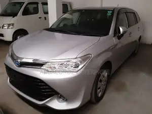 Toyota Corolla Fielder 2016 Silver