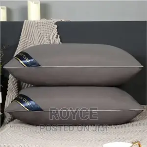 Imported High Quality Hilton Pillows_pair