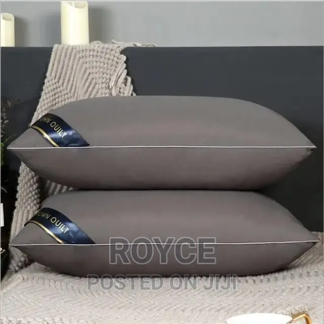Imported High Quality Hilton Pillows_pair