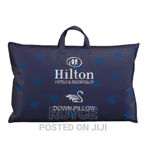 Imported High Quality Hilton Pillows_pair
