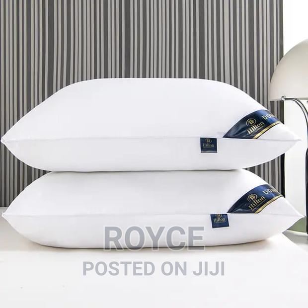 Imported High Quality Hilton Pillows_pair