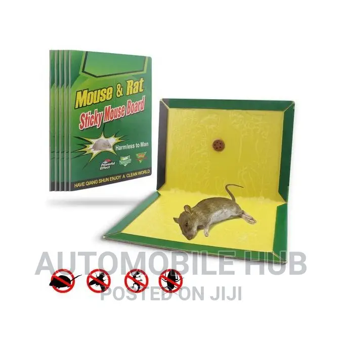 Mouse Rat Traps