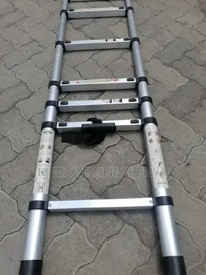 Telescopic Ladder-Best Ladder-Easily Folded