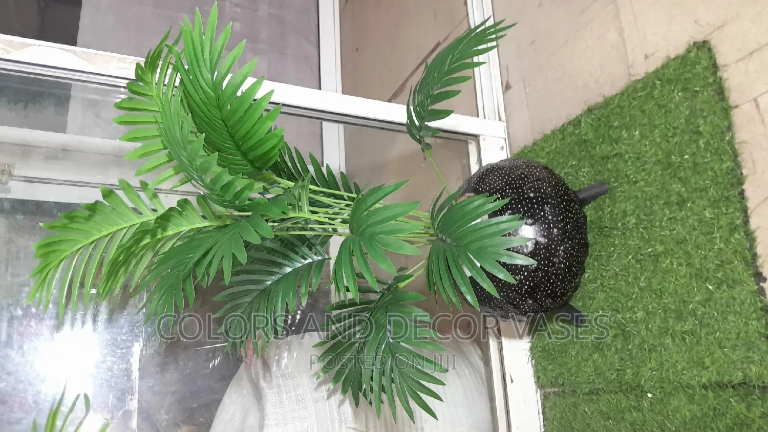 Calabash With Palm Tree