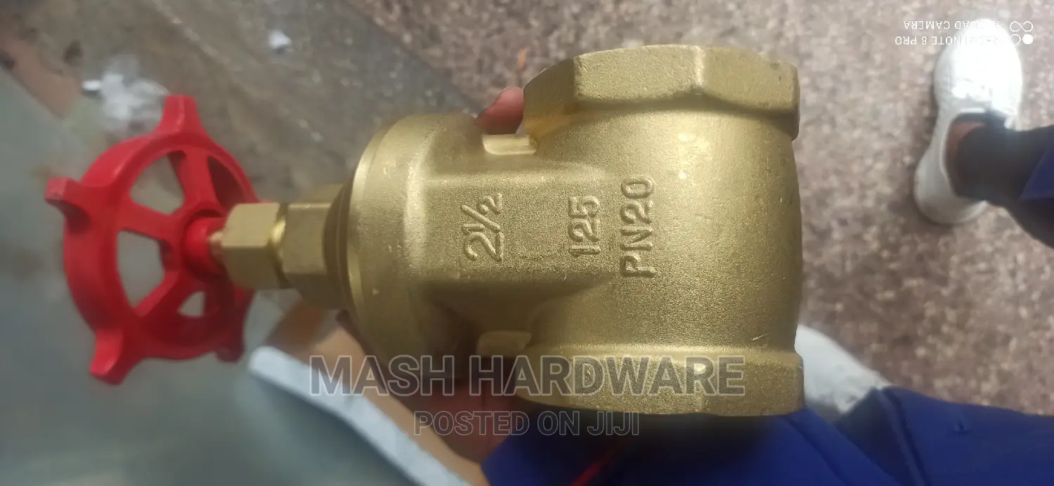 2.5" Pegler Gate Valve