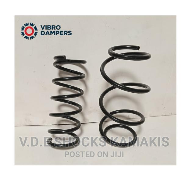 Nissan Teana Heavy-Duty Springs - main view