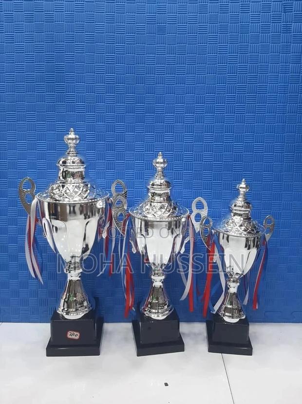 Silver Trophies - main view