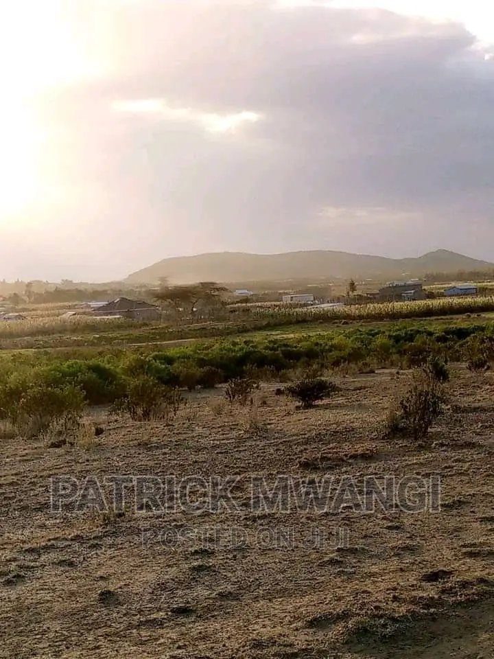 50*100 M Kopa Plots