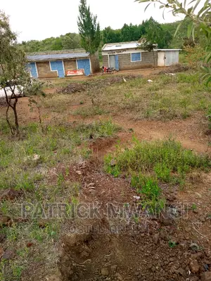 50*100 M Kopa Plots
