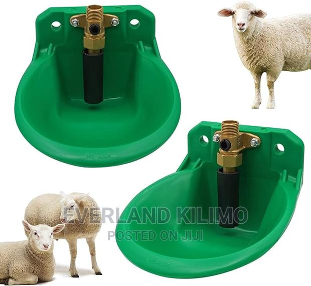 Goat/Sheep Drinking Bowls