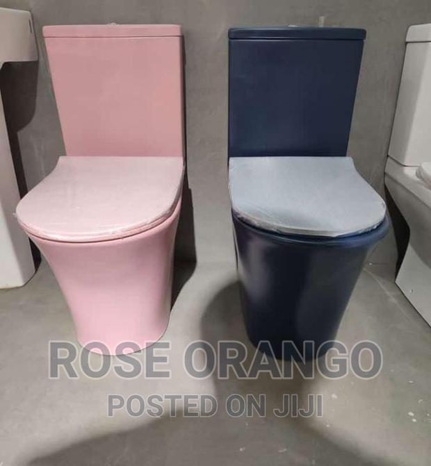 Pink Toilet