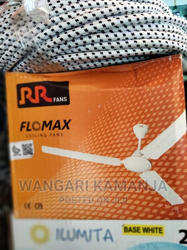 Ceiling Fan RR - main view