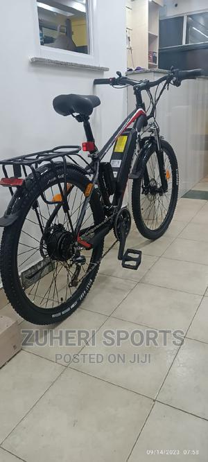 Phoenix Electric Mountain Bike E-Bike