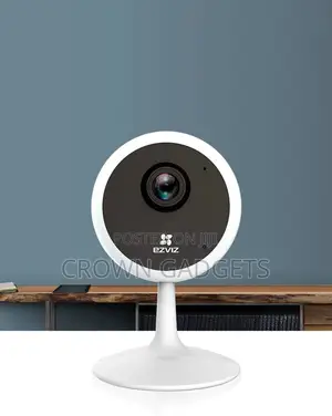 Intelligent Surveillance Camera With Night Vision