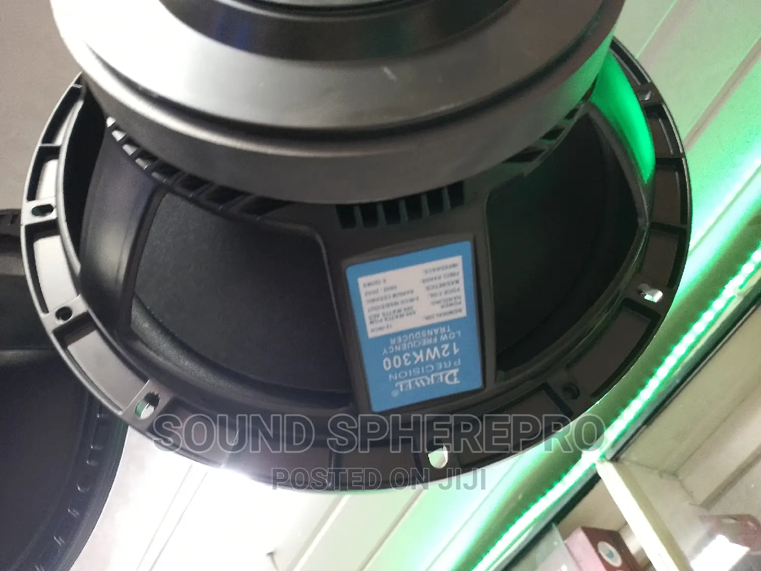 Derwel 12WK300 12 Inch Naked Speaker