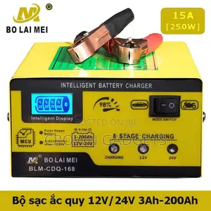 BOLAIMEI BLM-168 12v/24v Smart Automatic Battery Charger