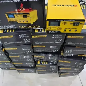 I BLM-168 12v/24v Smart Automatic Battery Charger
