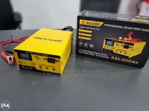 Bolaimei Smart Fast 15amp Lead Acid 12v 24v