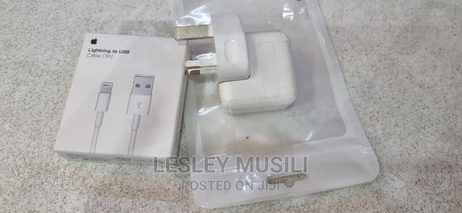 iPad Air 9.7 Original Charger
