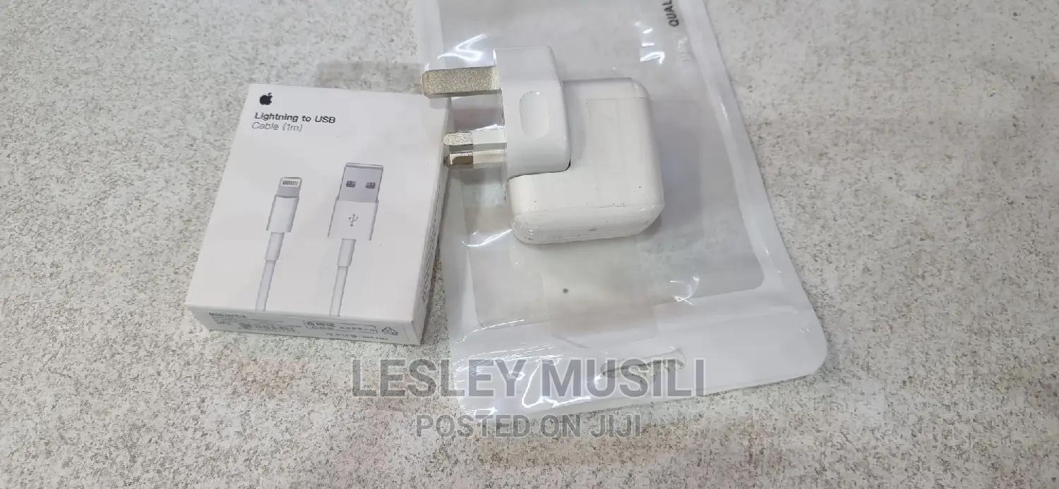 iPad Air 9.7 Original Charger