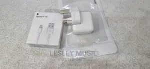 iPad Air 9.7 Original Charger