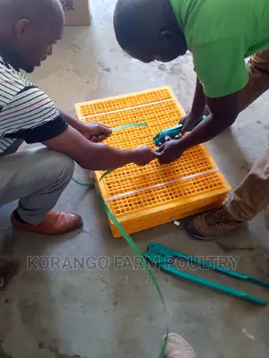 Chicken Carrier Cages