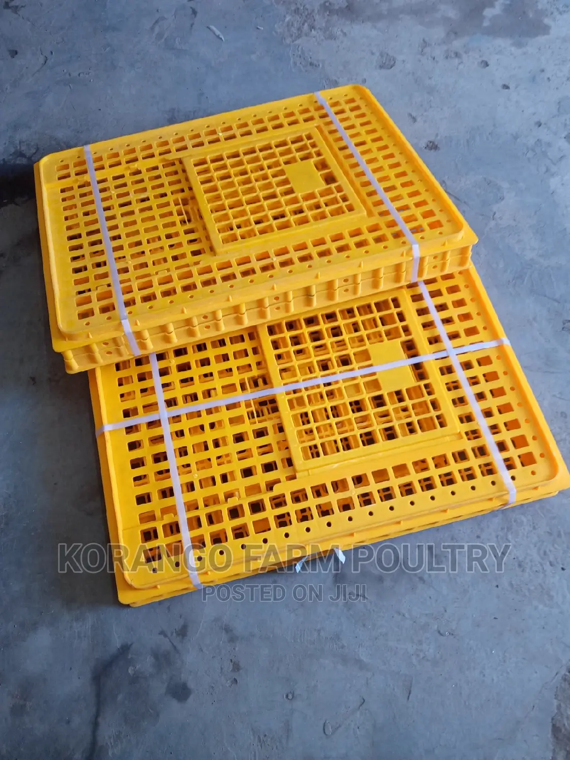 Chicken Carrier Cages