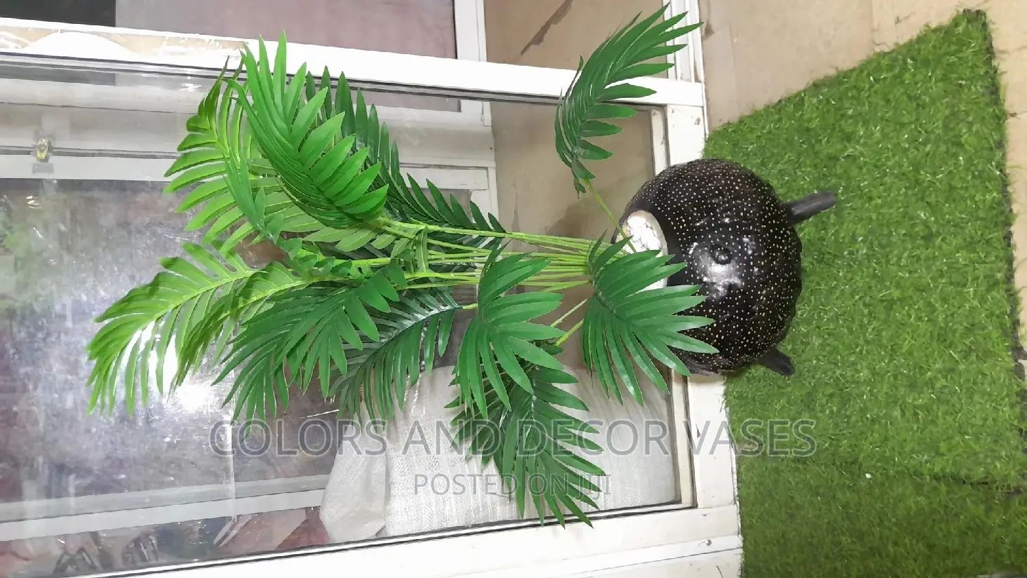 Calabash + Plant + Pebble Stones on Offer