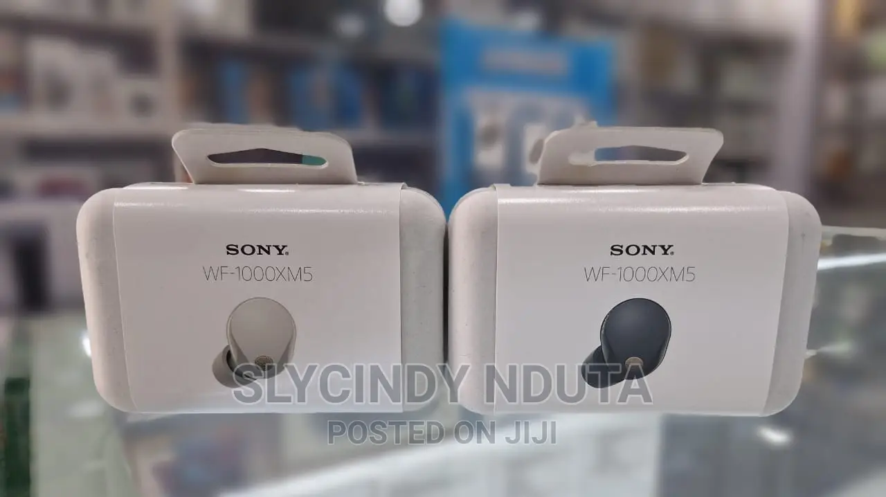 Sony Wf-1000xm5