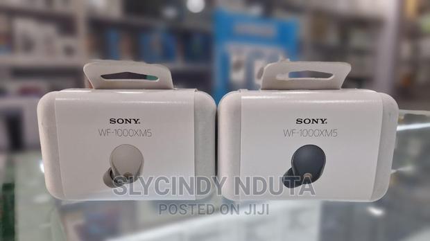 Sony Wf-1000xm5 - main view