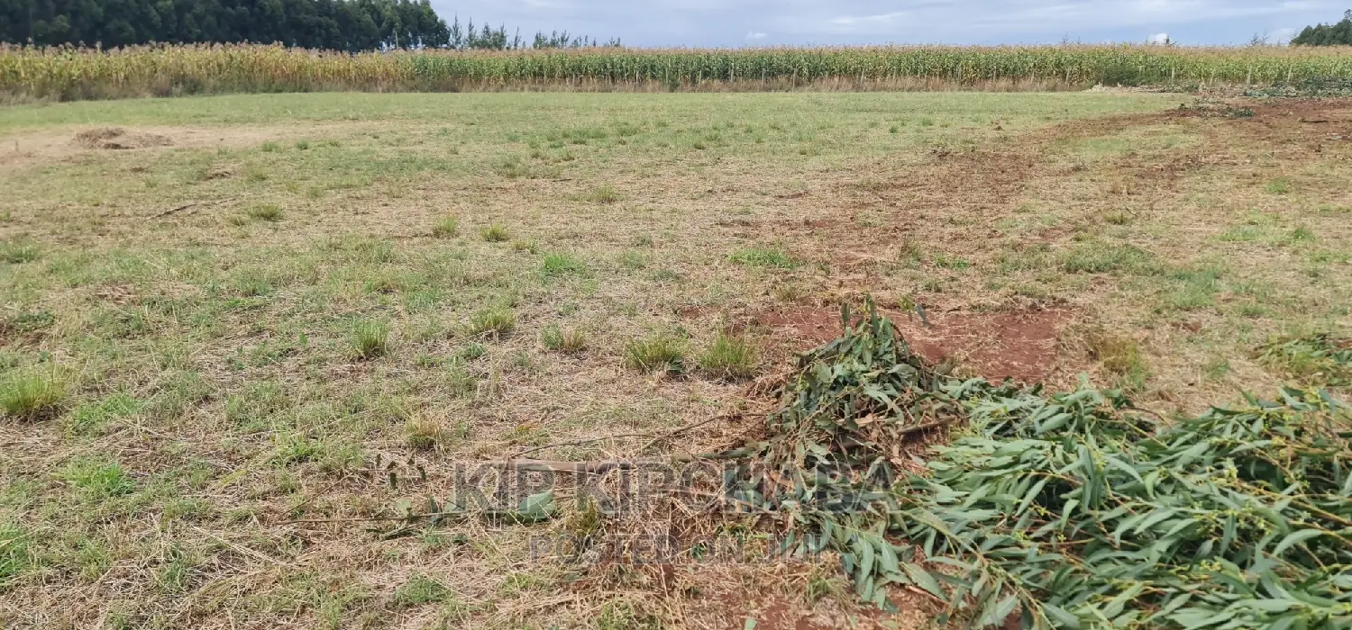 1 Acre Land for Sale in Kiplombe Kapndani in Eldoret