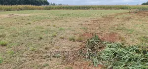 1 Acre Land for Sale in Kiplombe Kapndani in Eldoret