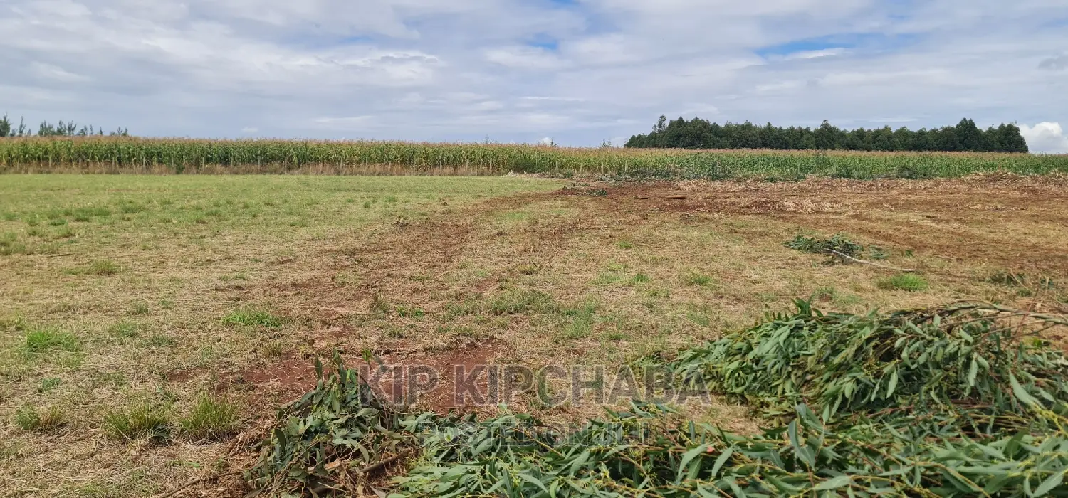 1 Acre Land for Sale in Kiplombe Kapndani in Eldoret