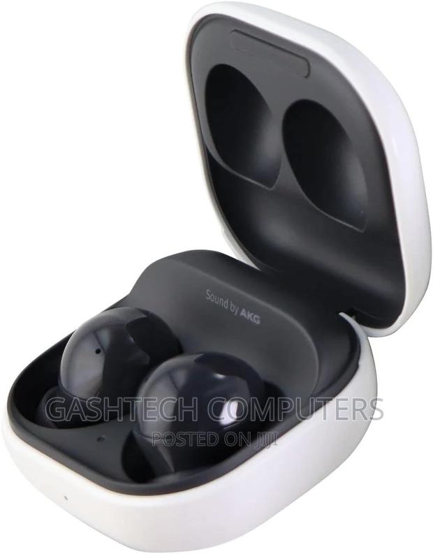 SAMSUNG Galaxy Buds2 - main view