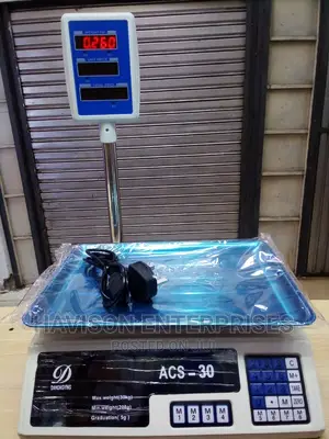 ACS -30 Scale