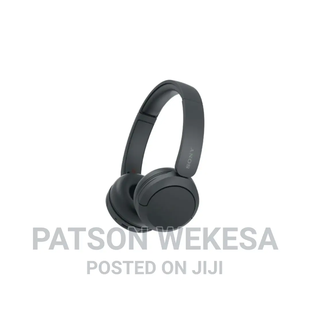 Wh-Ch520 Wireless Headphones With Microphone