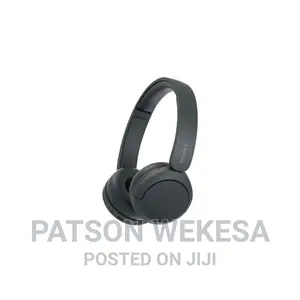 Wh-Ch520 Wireless Headphones With Microphone