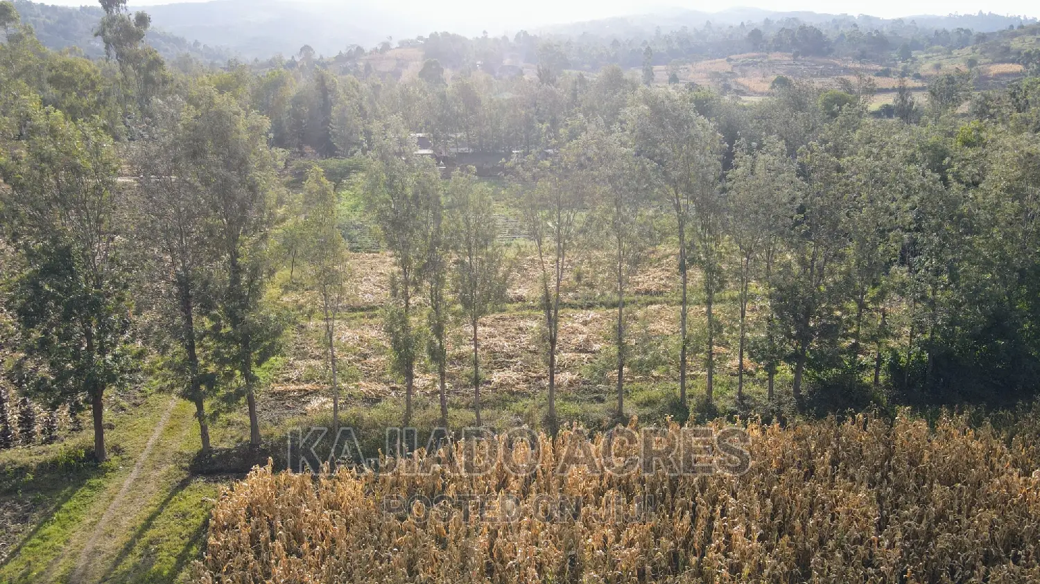10 Acres Kaurai,Ngong at 15m Per Acre