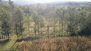 10 Acres Kaurai,Ngong at 15m Per Acre