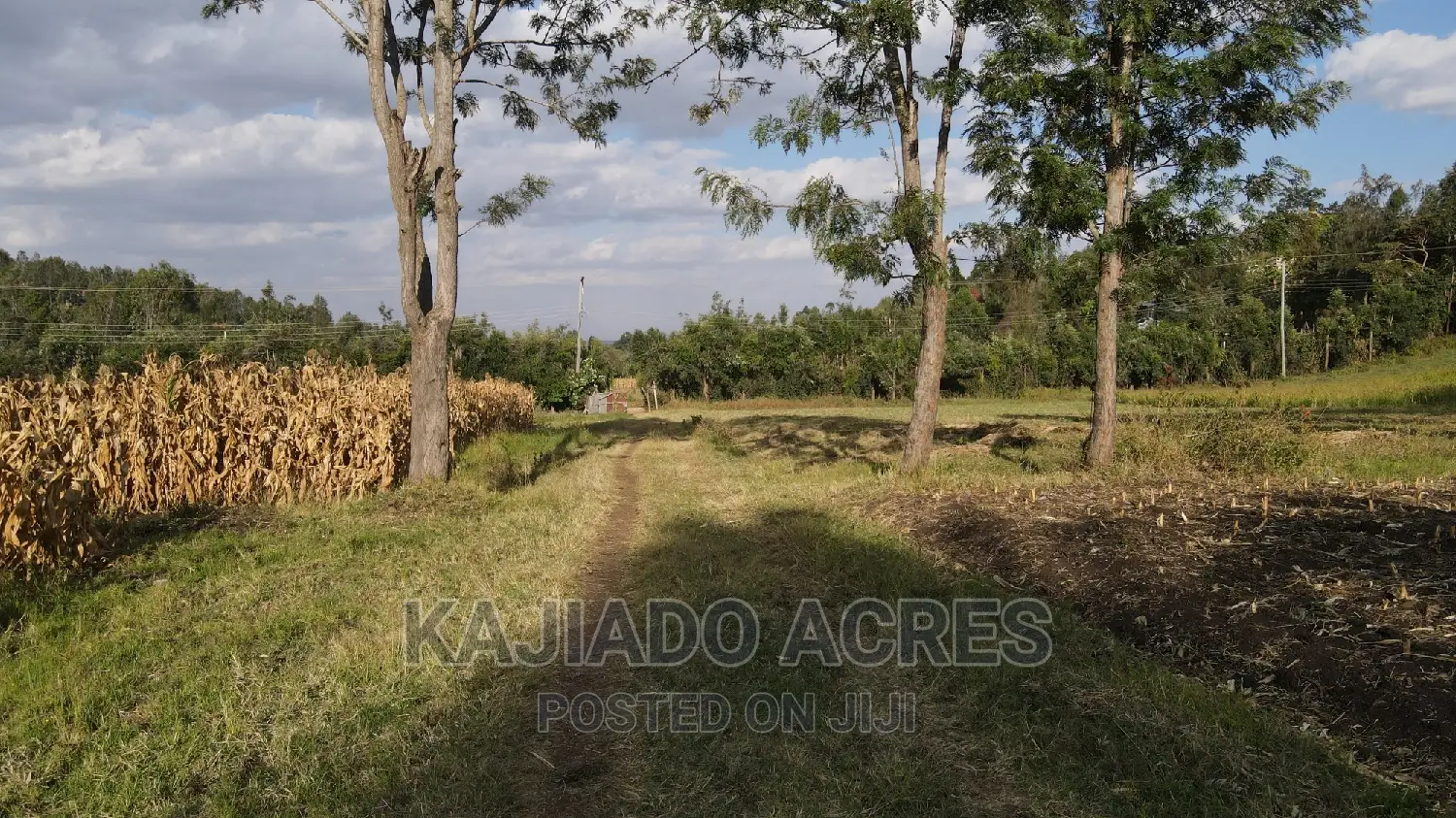10 Acres Kaurai,Ngong at 15m Per Acre