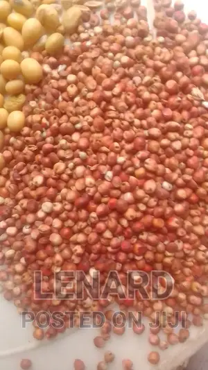 Mtama Red Seeds