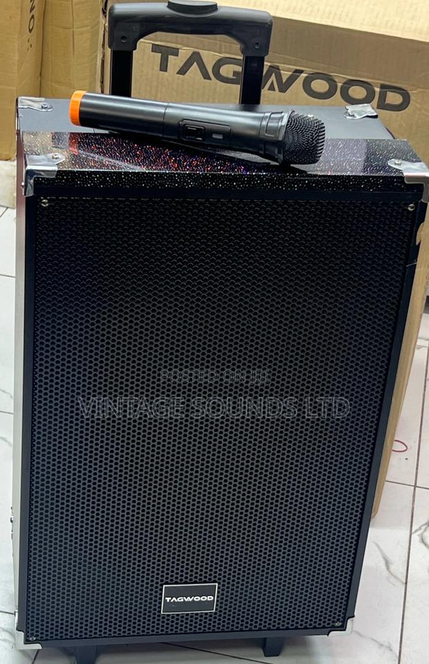 12inch Tagwood Portable Rechargeable Speaker 12000watts - thumbnail 3