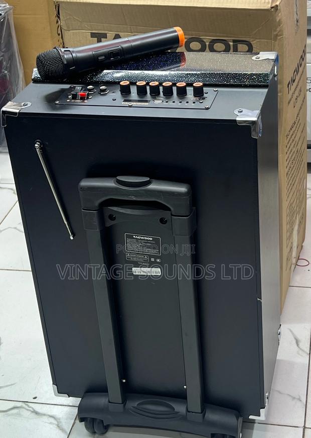 12inch Tagwood Portable Rechargeable Speaker 12000watts - thumbnail 2