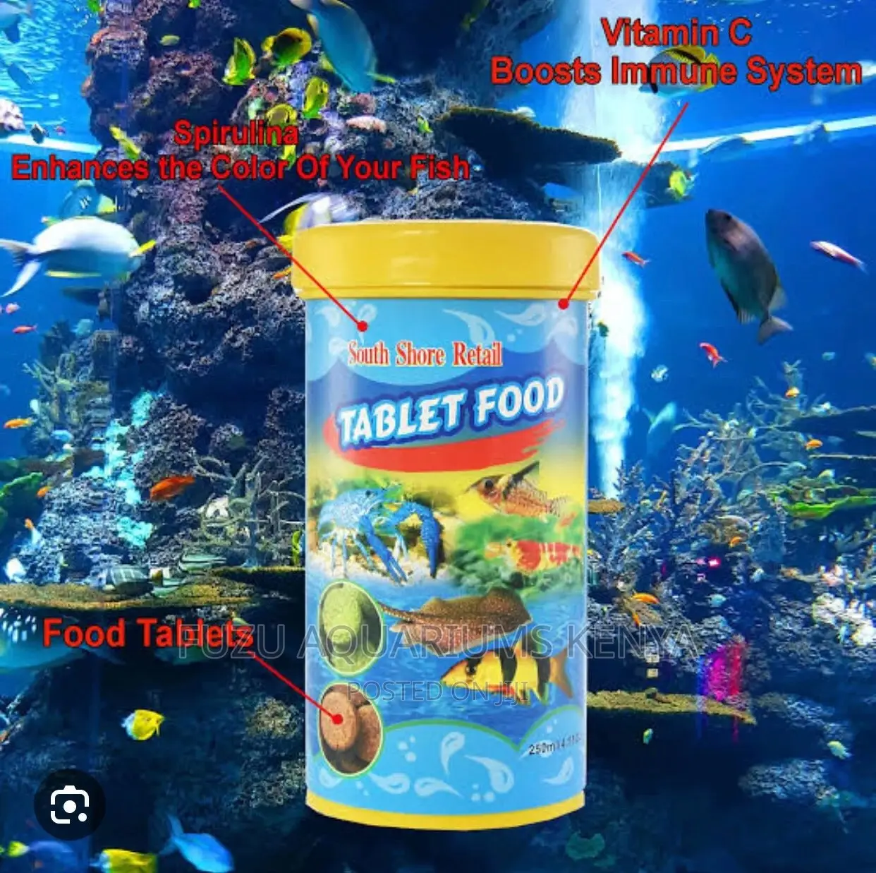Fish Tablet Food