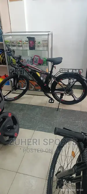 Phoenix Rechargeable Electric Mountain Bike 30km/H 7 Gears