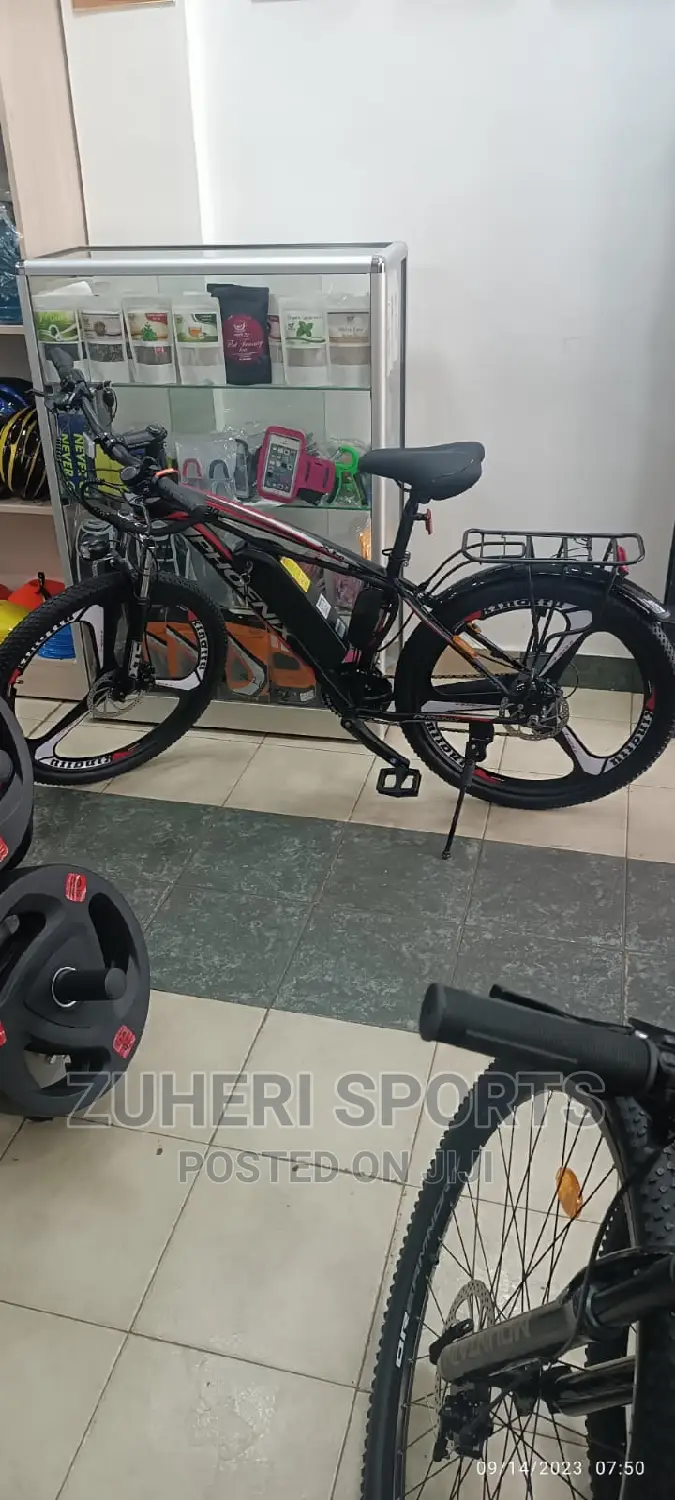 Phoenix Rechargeable Electric Mountain Bike 30km/H 7 Gears