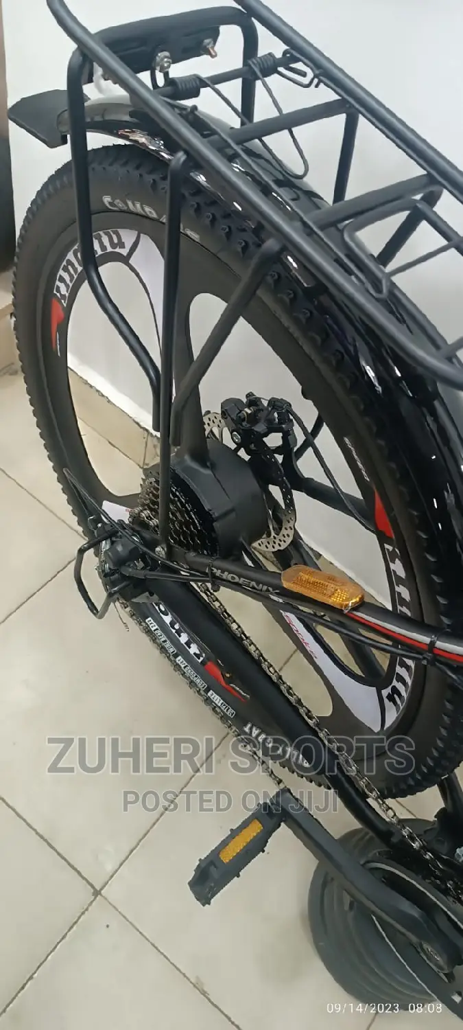 Phoenix Rechargeable Electric Mountain Bike 30km/H 7 Gears
