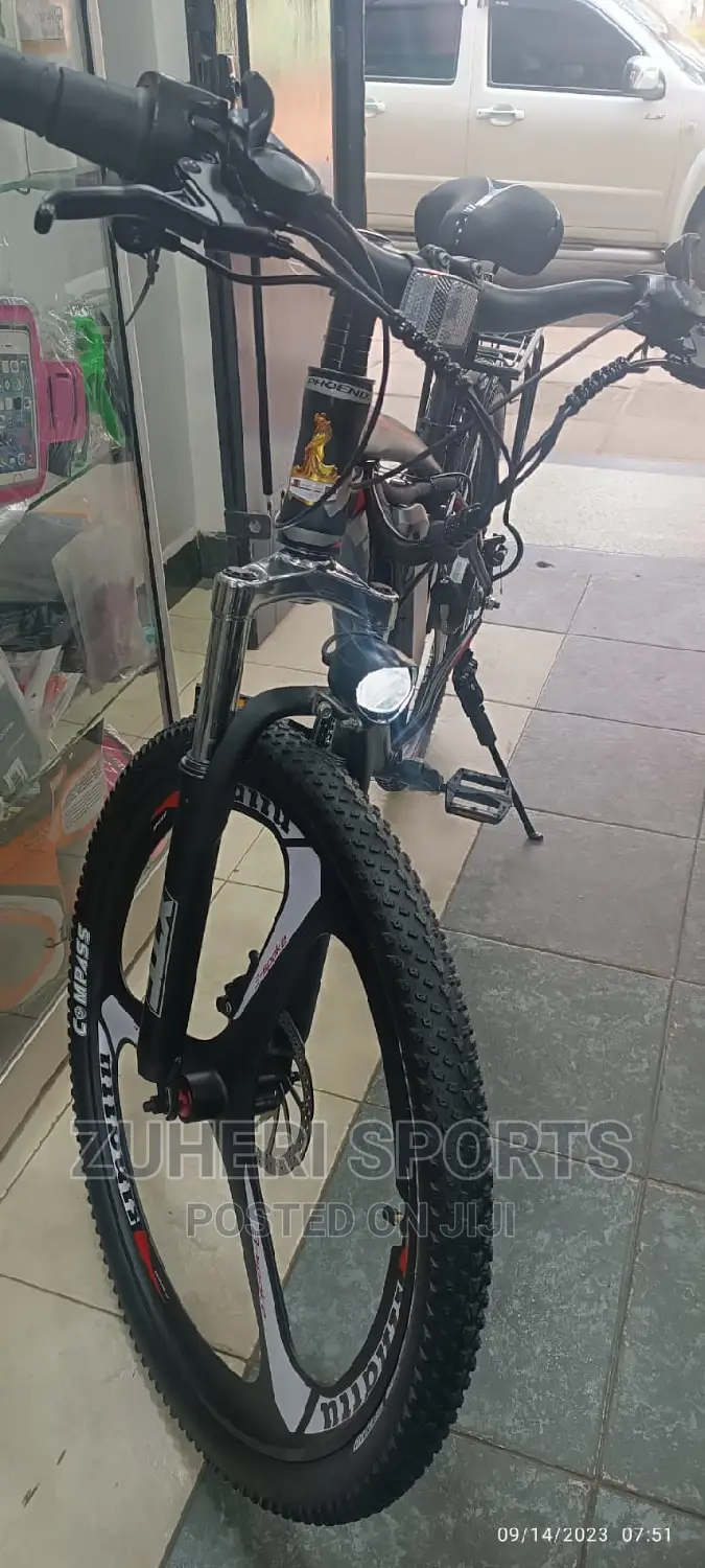 Phoenix Rechargeable Electric Mountain Bike 30km/H 7 Gears