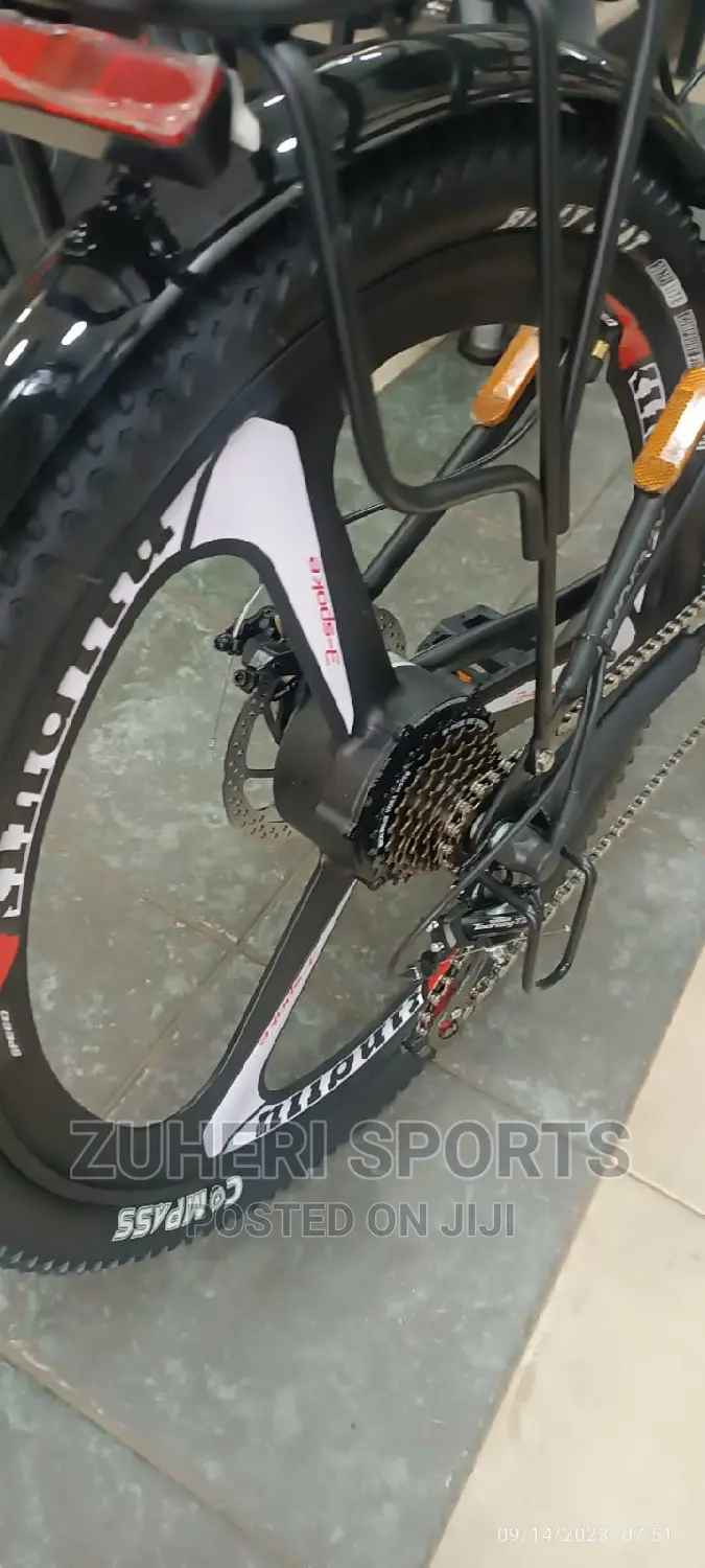 Phoenix Rechargeable Electric Mountain Bike 30km/H 7 Gears